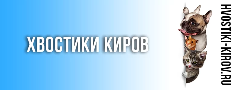 Агата ищет дом
