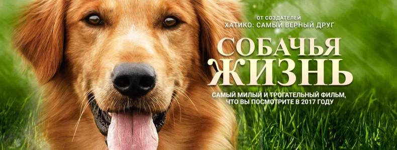 Фильм "Собачья жизнь"